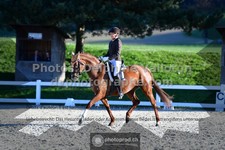 ref. photo 3553452
