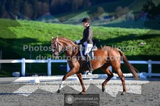 ref. photo 3553453
