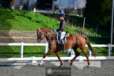 ref. photo 3553454
