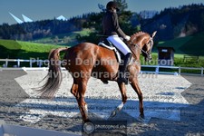 ref. photo 3553455