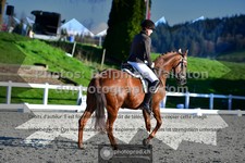 ref. photo 3553458