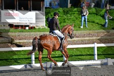 ref. photo 3553462