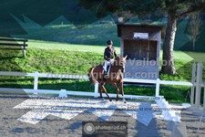ref. photo 3553465