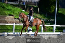 ref. photo 3553466