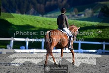 ref. photo 3553468