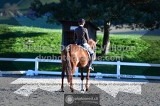 ref. photo 3553469