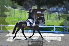 ref. photo 3553480