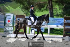 ref. photo 3553481