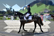 ref. photo 3553491