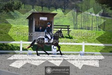 ref. photo 3553499