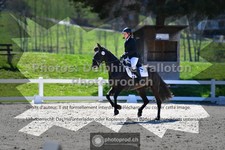 ref. photo 3553501