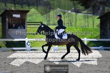 ref. photo 3553502