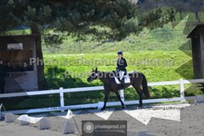 ref. photo 3553504