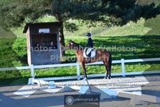 ref. photo 3553509