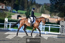 ref. photo 3553512