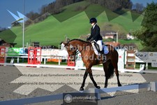 ref. photo 3553515
