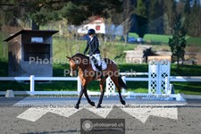 ref. photo 3553516