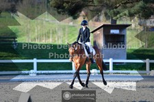 ref. photo 3553517