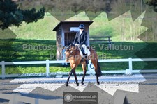 ref. photo 3553518