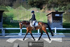 ref. photo 3553519