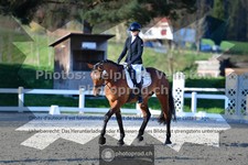 ref. photo 3553520