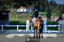 ref. photo 3553521