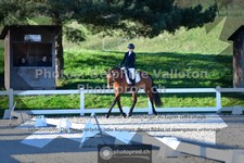 ref. photo 3553522