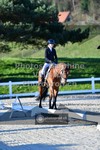 ref. photo 3553523