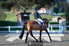 ref. photo 3553524