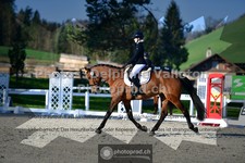 ref. photo 3553529