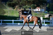 ref. photo 3553530