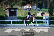 ref. photo 3553531