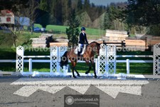 ref. photo 3553532