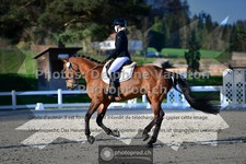 ref. photo 3553537