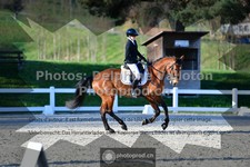 ref. photo 3553538