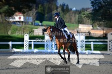 ref. photo 3553540
