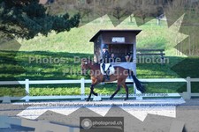 ref. photo 3553544
