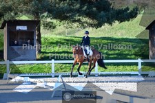 ref. photo 3553545