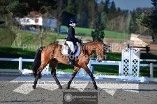 ref. photo 3553548