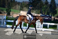 ref. photo 3553550