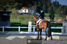 ref. photo 3553556