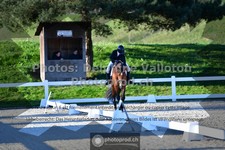 ref. photo 3553558