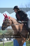 ref. photo 3553594