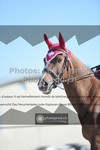 ref. photo 3553595