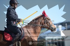 ref. photo 3553598