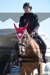 ref. photo 3553599