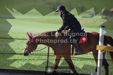 ref. photo 3553602