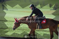 ref. photo 3553603