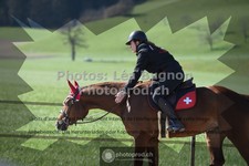 ref. photo 3553604