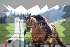 ref. photo 3553609